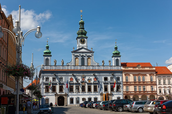38. český a slovenský epileptologický sjezd a 72. český a slovenský sjezd klinické neurofyziologie míří v dubnu do Českých Budějovic