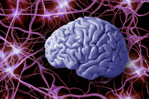 38. slovenský a český neurologický sjezd se uskuteční v listopadu v Košicích